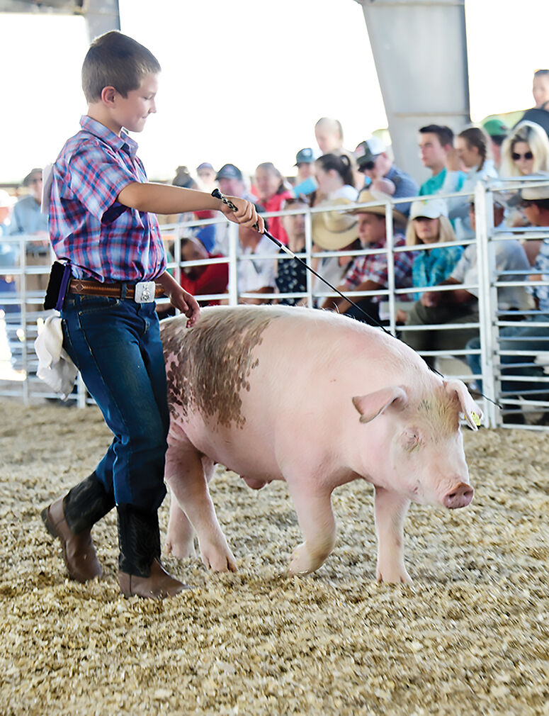 19-08-14 Blaine County Fair 1 Roland.jpg
